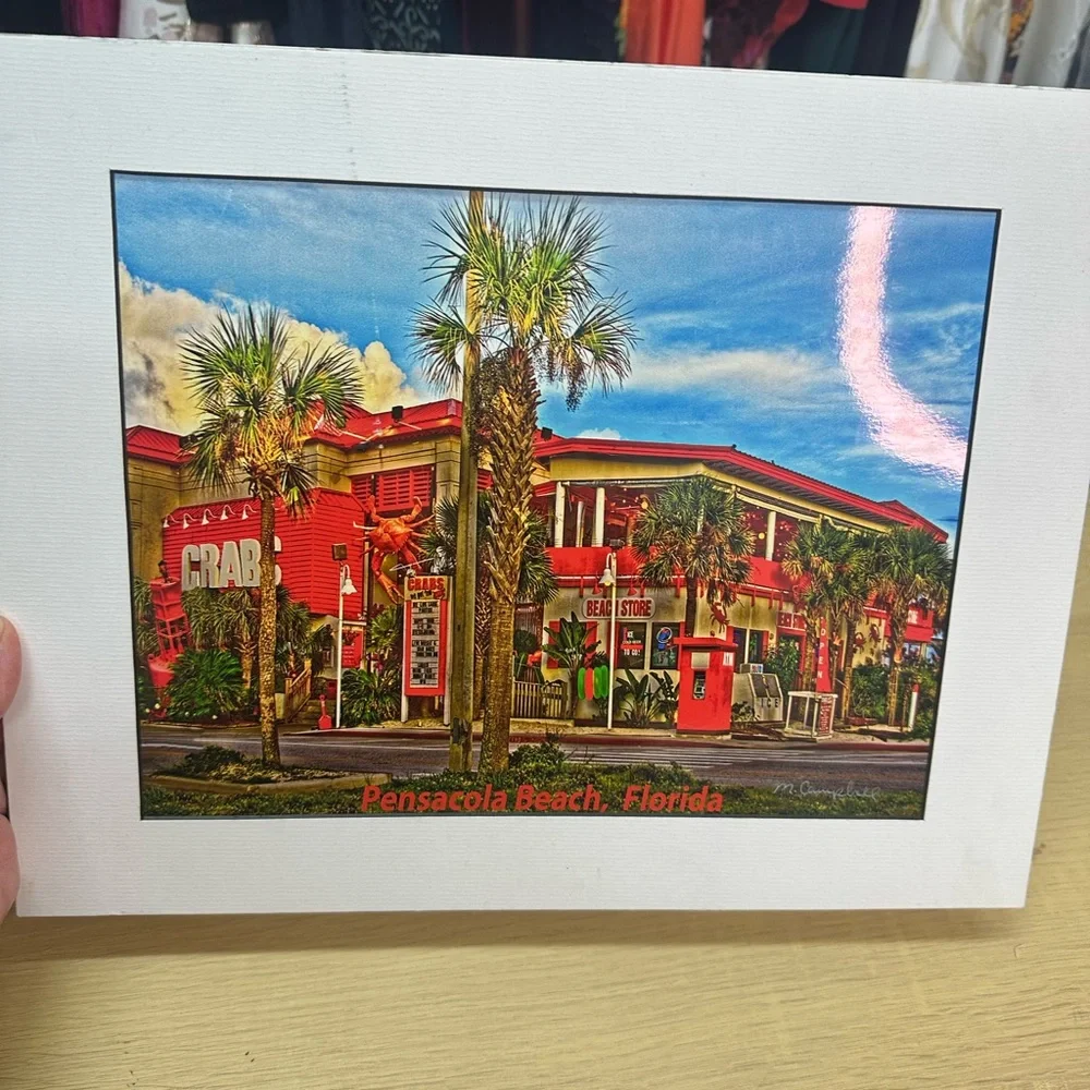 Pensacola Florida Photograph Print by M. Campbell 8x10